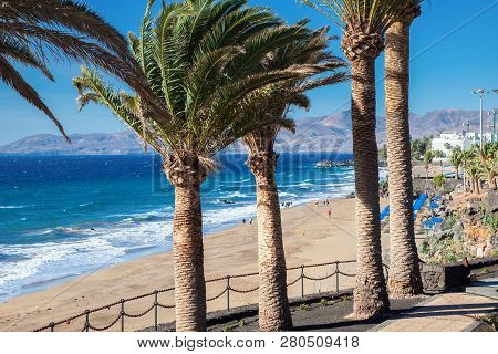Puerto Del Carmen Beach In Lanzarote, Canary Islands, Spain. Blue Sea, Palm Trees, Selective Focus