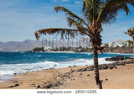 Puerto Del Carmen Beach In Lanzarote, Canary Islands, Spain. Blue Sea, Palm Trees, Selective Focus