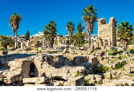 Ruins Of The Al-bass Tyre Necropolis. Unesco World Heritage In Lebanon