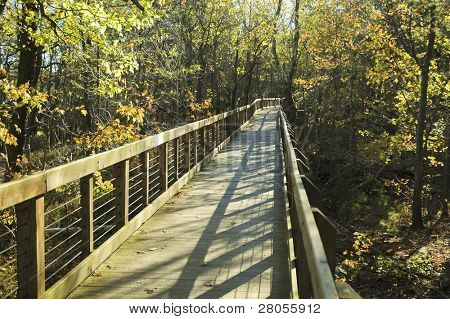 Cheaha State Park Promenade