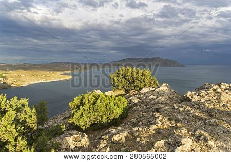 Sunlit Juniper Bushes On Top Of Alchak Cape. Sudak, Crimea. Cloudy Day In September.