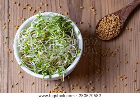 Dry And Sprouted Fenugreek Seeds, Top View