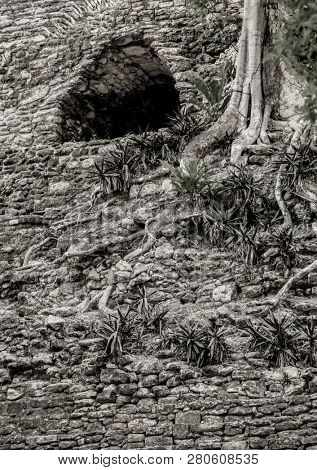 Detail shot of the overgrown Mayan temple of Dzibanche and entrance in Mexico.