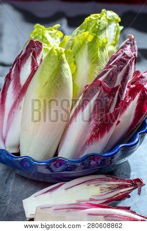 Group Of Fresh Green Belgian Endive Or Chicory And Red Radicchio Vegetables, Also Known As Witlof Sa