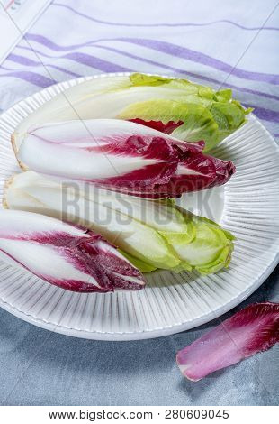 Group Of Fresh Green Belgian Endive Or Chicory And Red Radicchio Vegetables, Also Known As Witlof Sa