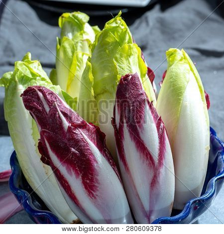 Group Of Fresh Green Belgian Endive Or Chicory And Red Radicchio Vegetables, Also Known As Witlof Sa