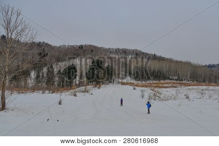 Winter Scenery Of Mohe County, China