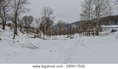 Winter Scenery Of Mohe County, China