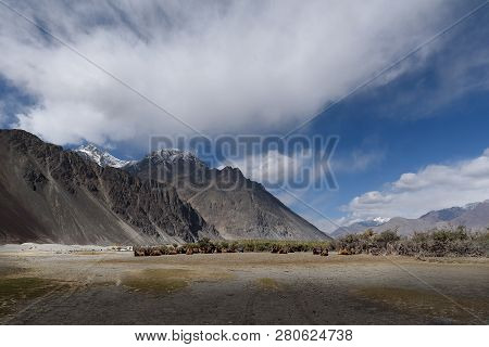 Hunder Sand Dunes With Daylight And Clear Sky