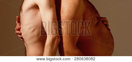 Loosing And Gaining Weight. Body Comparisons. Fat And Slim Male Torsos. Flat And Big Bellies. Health