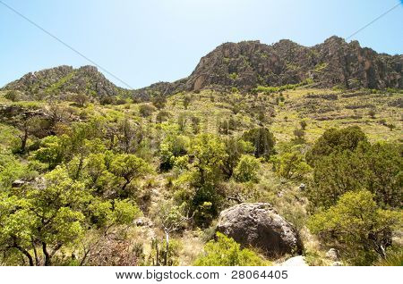 Falaises rocheuses de Tejas Canyon