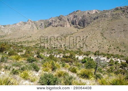Falaises de Tejas Canyon