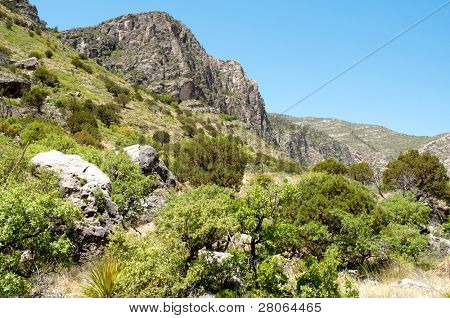 Collines rocheuses de Tejas Canyon