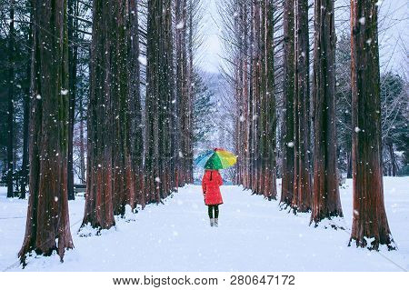 Girl With Colourful Umbrella In Row Tree, Nami Island In South Korea. Winter In South Korea.