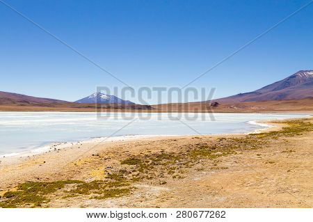 Laguna Hedionda Landscape,bolivia. Beautiful Bolivian Panorama. Blue Water Lagoon