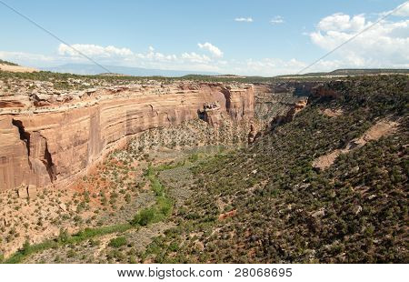 Ute Canyon