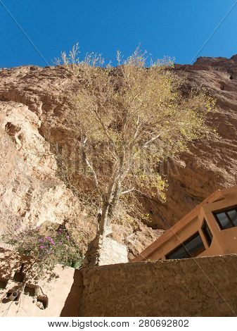 Beautiful Desert Landscape Of Todra Gorge In High Atlas In Morocco