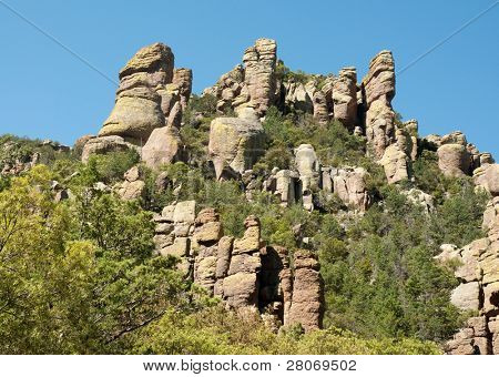 formazioni rocciose e piante verdi