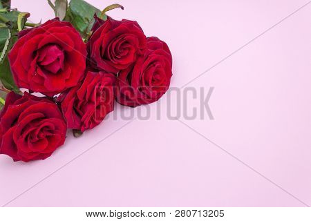 Roses On A Pink Background, A Bouquet Of Red Roses. Valentine's Day, Happy Mother's Day. Happy Women