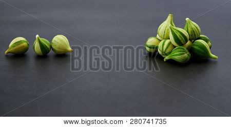 Fresh Figs Bordissot Negra Rimada