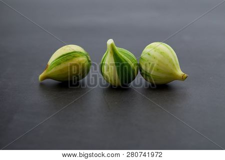 Fresh Figs Bordissot Negra Rimada