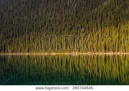 Morning Sunshine View Pine Forest Reflecion On Calm Emerald Lake Louise In Banff National Park, Albe