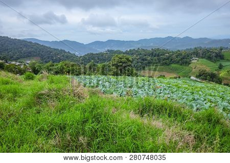 Beautiful Landscape View On Monjam Mountain Chianmai City Thailand