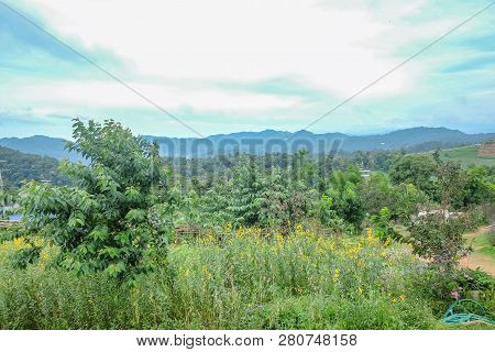 Beautiful Landscape View On Monjam Mountain Chianmai City Thailand