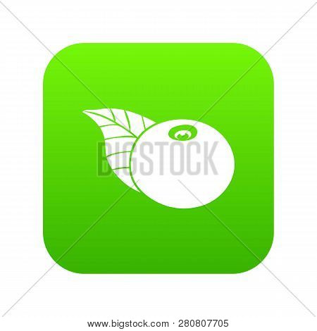 Bearberry Icon Green Isolated On White Background