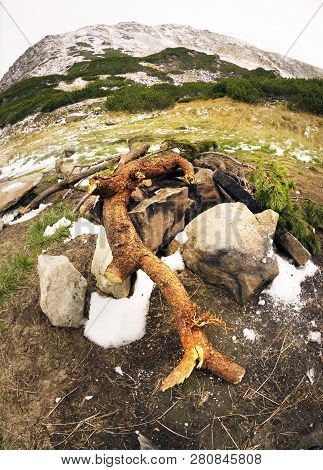 Harm From Tourists In The Carpathians