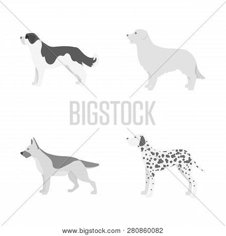 Vector Illustration Of Cute And Puppy Sign. Set Of Cute And Animal Stock Vector Illustration.
