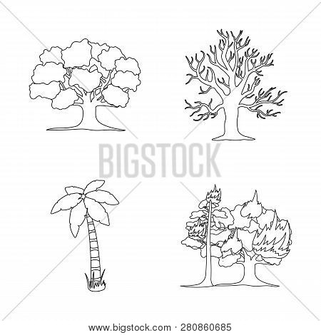 Vector Illustration Of Tree  And Forest Icon. Set Of Tree  And Green Stock Vector Illustration.