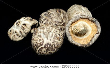 Dried Premium Shiitake Mushrooms - Natural Ingredient