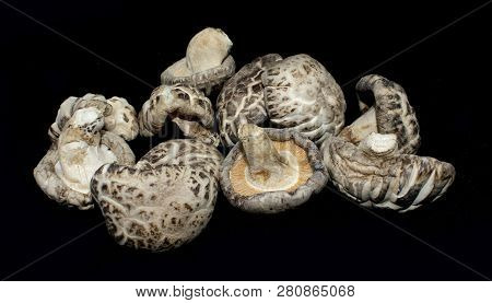 Dried Premium Shiitake Mushrooms - Natural Ingredient
