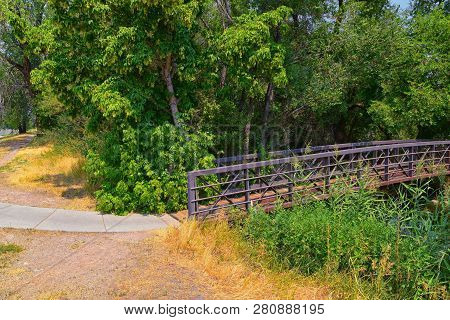 Views Of Jordan River Trail Pedestrian And Train Track Bridge With Surrounding Trees, Russian Olive,
