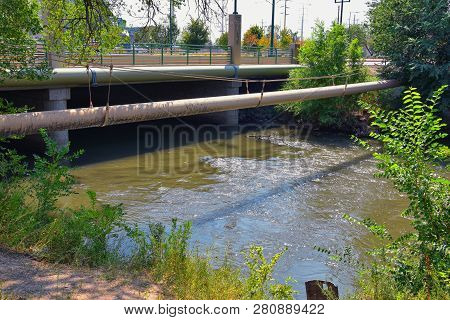 Views Of Jordan River Trail Pedestrian And Train Track Bridge With Surrounding Trees, Russian Olive,