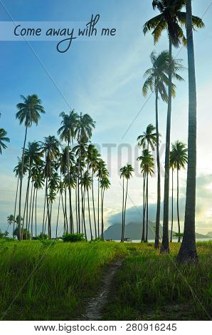 Word Come Away With Me With Beautiful Backgound Of Coconut Lined Pathway At Maiga Island, Sabah, Mal