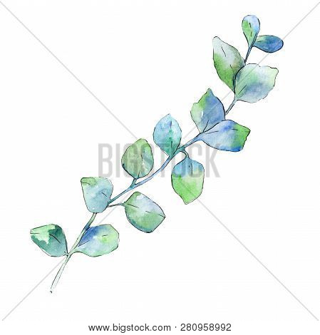 Branch With Green Leaves. Watercolor Background Illustration Set. Isolated Branch Illustration Eleme