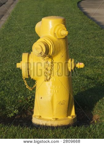 Idrante giallo su verde Grassz