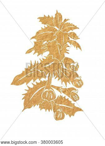 Gold Silhouette Of Forest Flowers With Leaves Isolated On White Background.