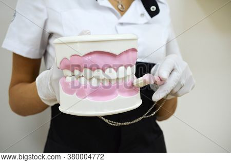 Dentist Doctor Holds A Toothbrush In His Hands And Shows How To Properly Carry Out Oral Hygiene