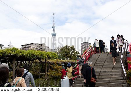 Tokyo, Japan, May 1, 2019 : Unidentified Tourist Travel To See Bloom Fuji Wisteria At Kameido Tenjin