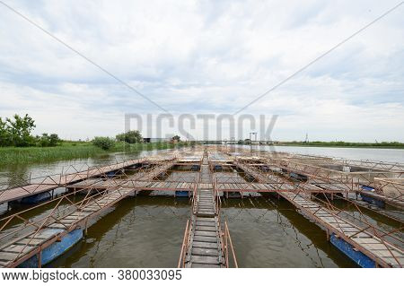 Fish Farm For Breeding Sturgeon. Outdoors Farm For Industrial Breeding Sturgeon Fish