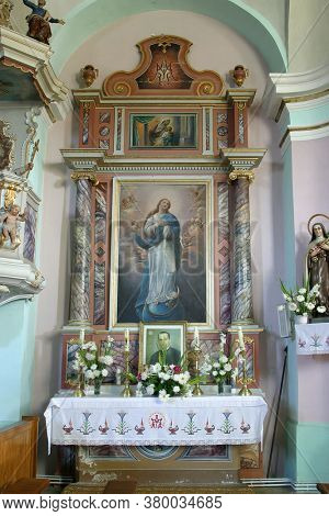 BRDOVEC CROATIA - SEPTEMBER 17, 2012: Altar of Assumption of the Virgin Mary in the Church of St. Vitus in Brdovec, Croatia