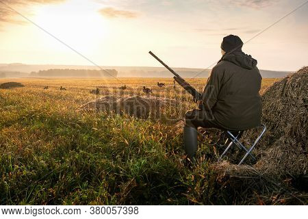 The Man Is On The Hunt. Hunter With A Hunting Gun. Hunting For Game Birds.