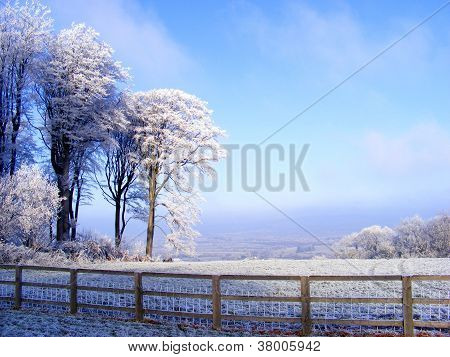 Winters Frost