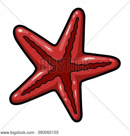 Starfish, Marine Echinoderm, Red Star-shaped Water Creature