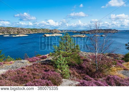 Landscape On The Island Dyroen In Sweden.