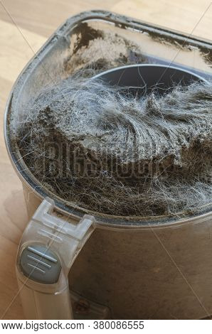 Vacuum Cleaner Container With Garbage. A Plastic Waste Container Full Of Dust And Wool. Cleaning Ser