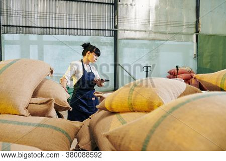 Serious Female Roastery Worker With Digital Tablet In Hands Walking Long Sacks Of Coffee Beans In Wa